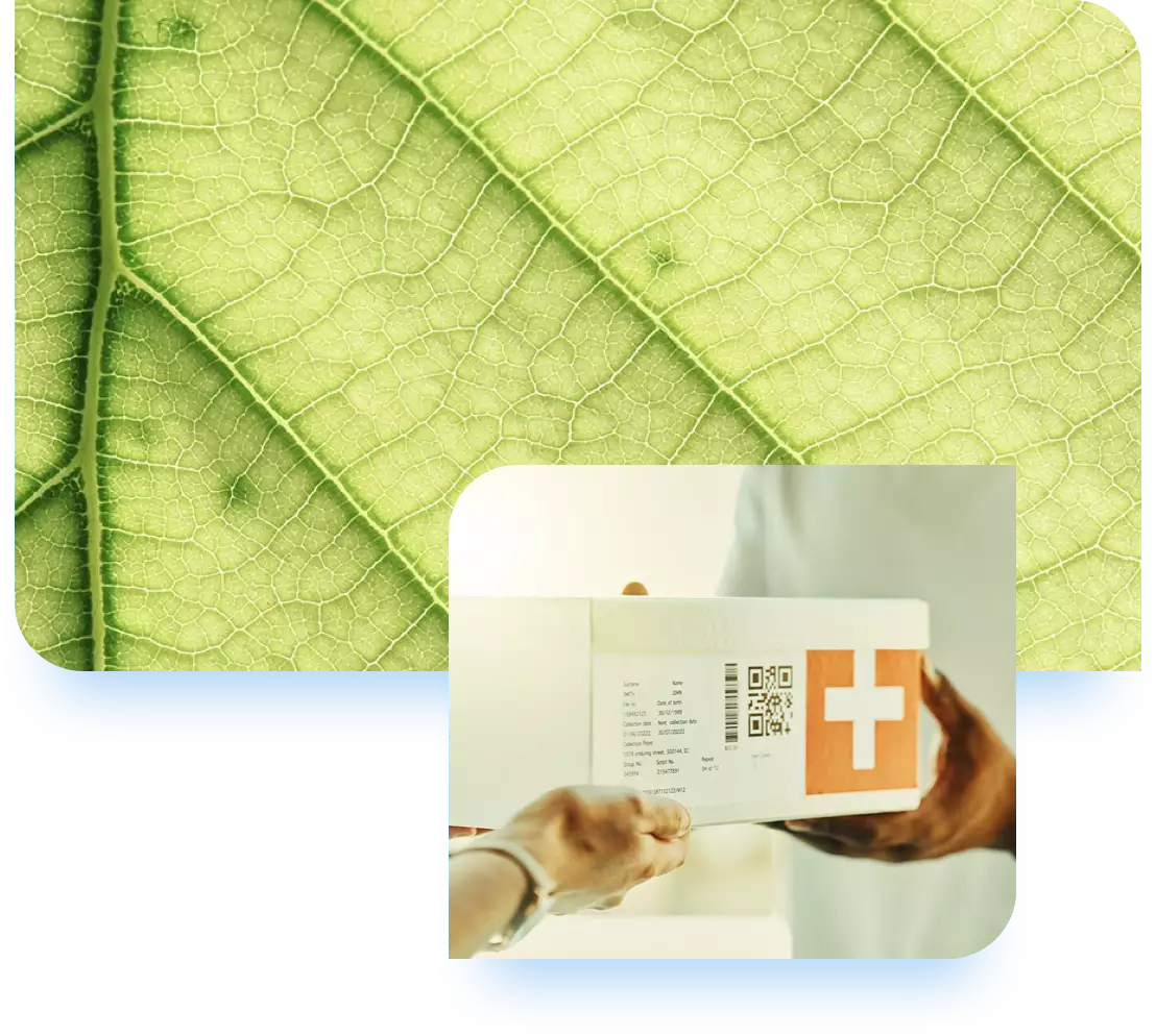 Sustainable packaging being delivered